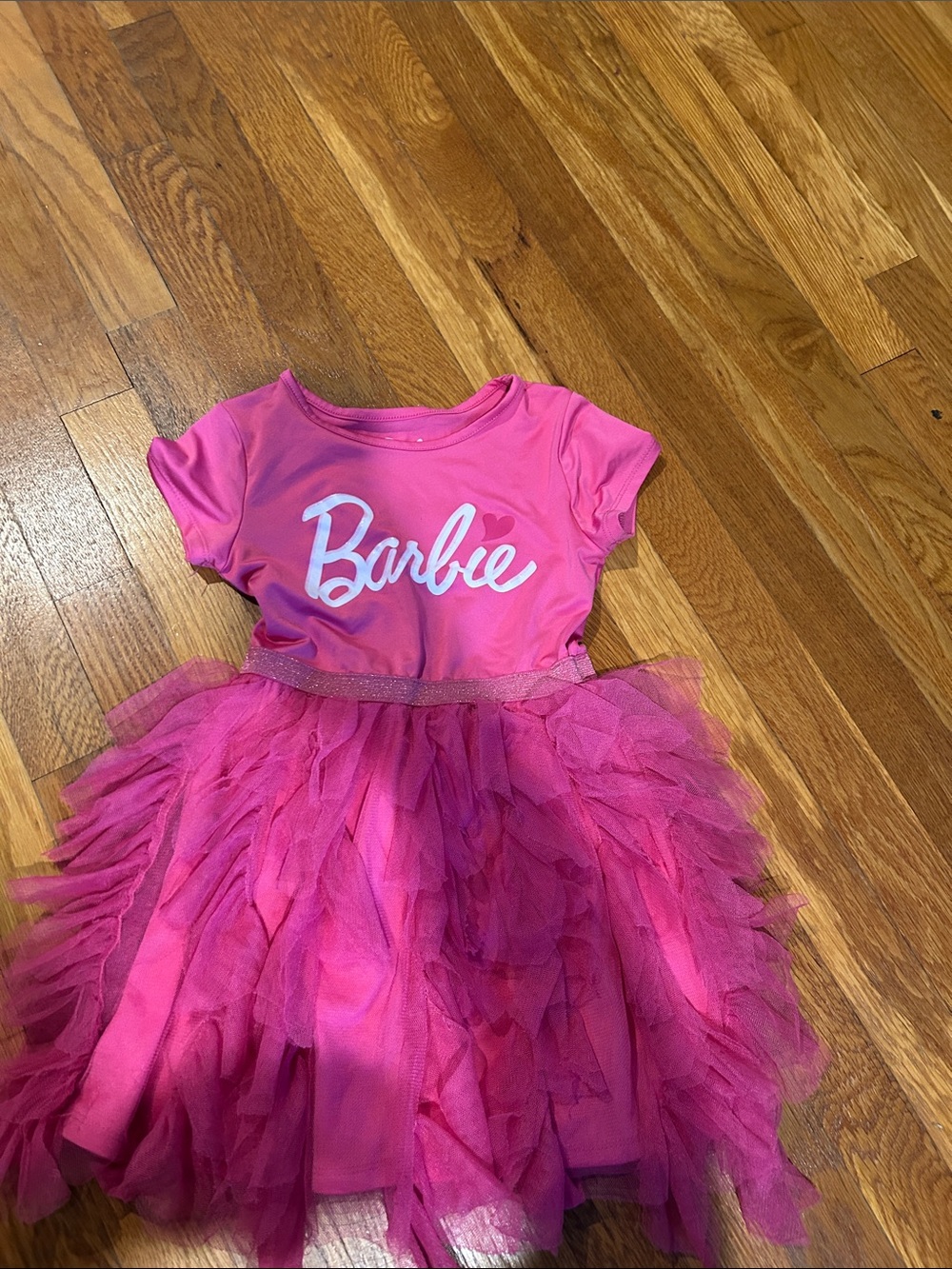 Barbie Hot Pink Tulle Dress Costume